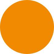 orange circle